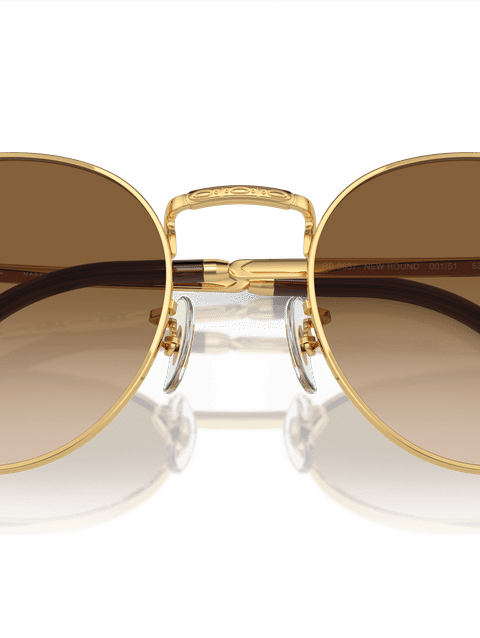 Ray-Ban Sunglasses Unisex New Round - Arista Gold Frame Brown Lenses 50-21