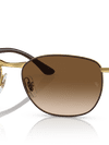 Ray-Ban Sunglasses Unisex Rb3702 - Brown Frame Brown Lenses 57-18