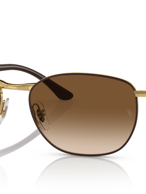 Ray-Ban Sunglasses Unisex Rb3702 - Brown Frame Brown Lenses 57-18