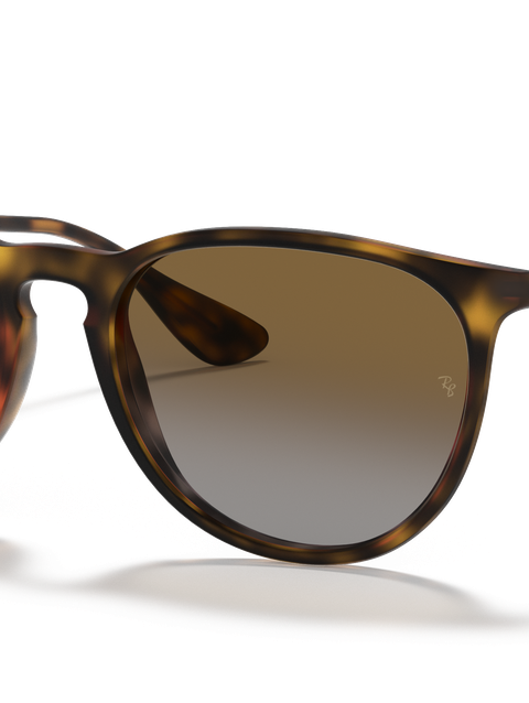 Ray-Ban Sunglasses Woman Erika @collection - Gold Frame Brown Lenses 54-18 Polarized