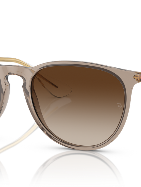 Ray-Ban Sunglasses Woman Erika Classic - Gold Frame Brown Lenses 54-18