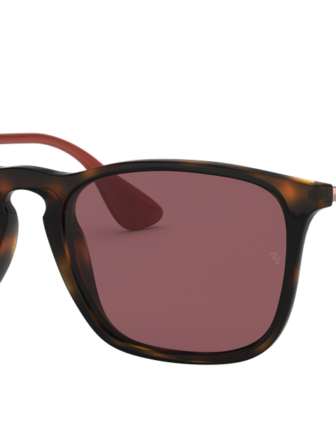 Ray-Ban Sunglasses Man Chris - Bronze-copper Frame Violet Lenses 54-18