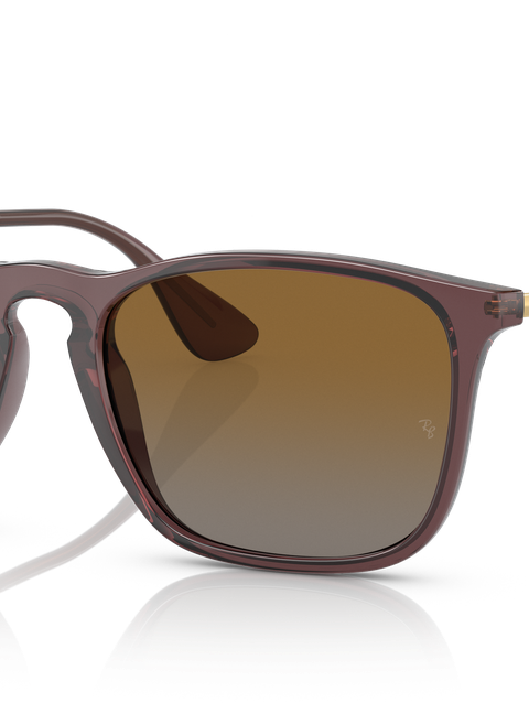 Ray-Ban Sunglasses Man Chris - Gold Frame Brown Lenses 54-18 Polarized