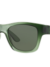 Ray-Ban Sunglasses Unisex Rb4194 - Green Demi Gloss Frame Green Lenses 53-17