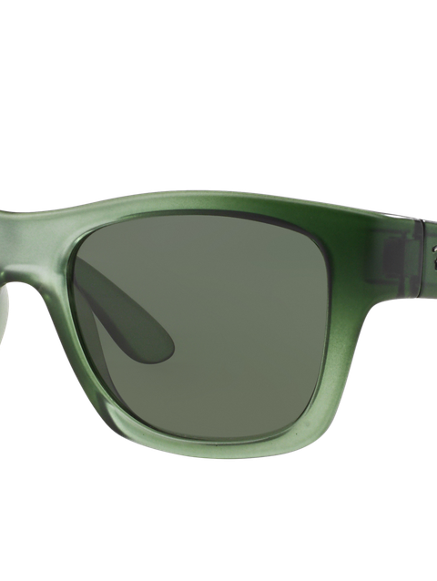 Ray-Ban Sunglasses Unisex Rb4194 - Green Demi Gloss Frame Green Lenses 53-17