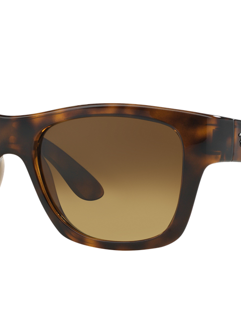 Ray-Ban Sunglasses Unisex Rb4194 - Tortoise Frame Brown Lenses 53-17