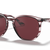 Ray-Ban Sunglasses Unisex Rb4306 - Striped Bordeaux Havana Frame Violet Lenses 54-19