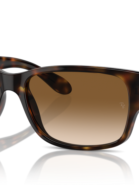 Ray-Ban Sunglasses Unisex Rb4388 - Havana Frame Brown Lenses 55-18