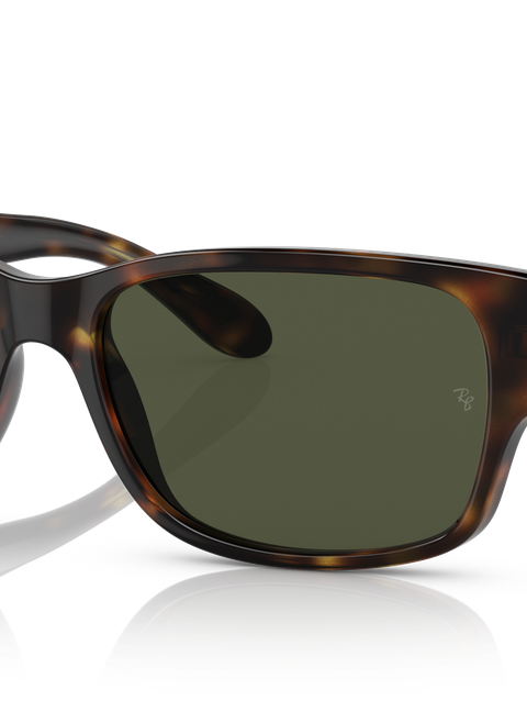 Ray-Ban Sunglasses Unisex Rb4388 - Havana Frame Green Lenses 55-18