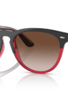 Ray-Ban Sunglasses Unisex Iris - Grey On Transparent Red Frame Brown Lenses 54-18