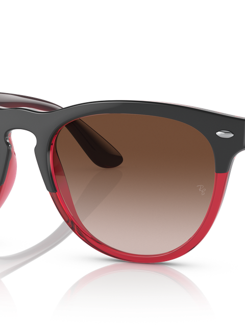 Ray-Ban Sunglasses Unisex Iris - Grey On Transparent Red Frame Brown Lenses 54-18