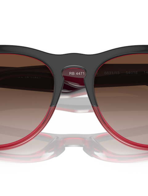 Ray-Ban Sunglasses Unisex Iris - Grey On Transparent Red Frame Brown Lenses 54-18