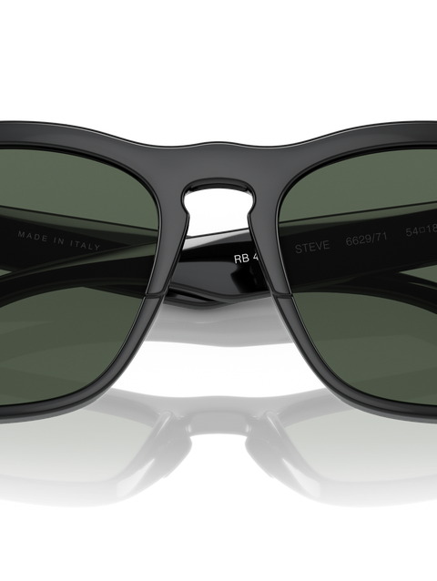 Ray-Ban Sunglasses Unisex Steve - Black Frame Green Lenses 54-18