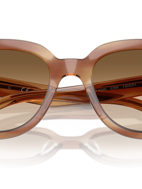 Ray-Ban Sunglasses Unisex Erik - Striped Brown Frame Brown Lenses 51-20