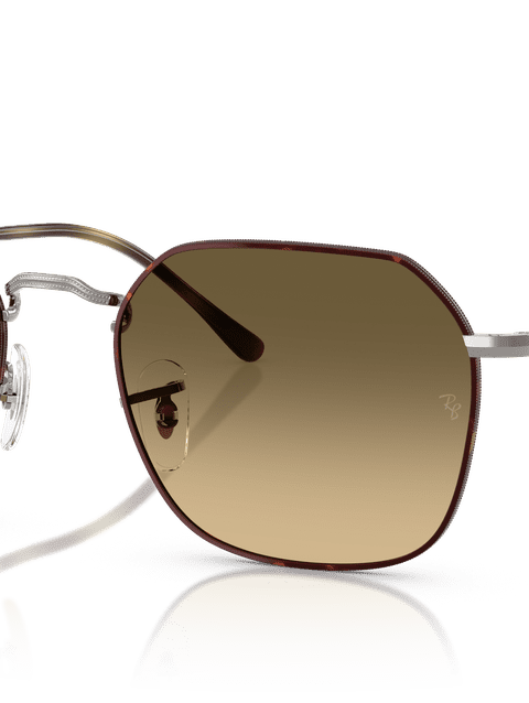 Ray-Ban Sunglasses Unisex Jim - Gunmetal Frame Brown Lenses 55-20