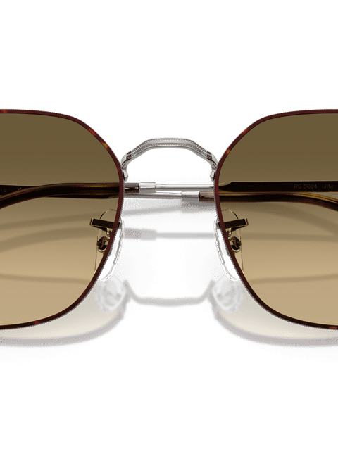 Ray-Ban Sunglasses Unisex Jim - Gunmetal Frame Brown Lenses 55-20