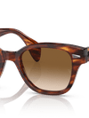 Ray-Ban Sunglasses Unisex Rb0880s - Striped Havana Frame Brown Lenses 53-19