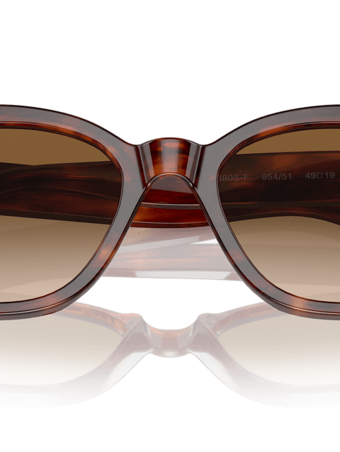 Ray-Ban Sunglasses Unisex Rb0880s - Striped Havana Frame Brown Lenses 53-19