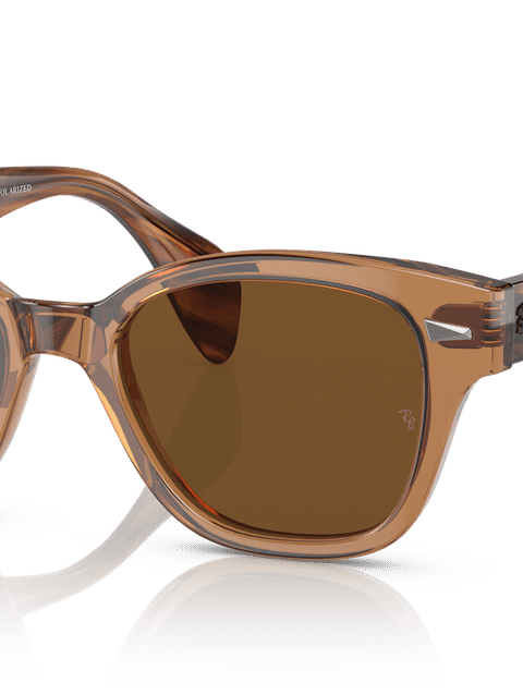 Ray-Ban Sunglasses Unisex Rb0880s - Striped Havana Frame Brown Lenses 53-19 Polarized