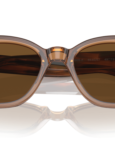 Ray-Ban Sunglasses Unisex Rb0880s - Striped Havana Frame Brown Lenses 53-19 Polarized