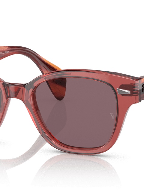 Ray-Ban Sunglasses Unisex Rb0880s - Striped Pink Havana Frame Violet Lenses 53-19 Polarized