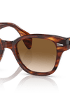 Ray-Ban Sunglasses Unisex Rb0880s - Striped Havana Frame Brown Lenses 49-19