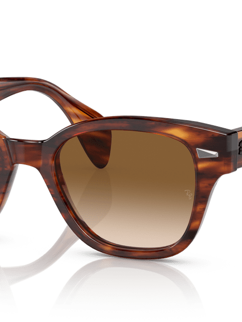 Ray-Ban Sunglasses Unisex Rb0880s - Striped Havana Frame Brown Lenses 49-19