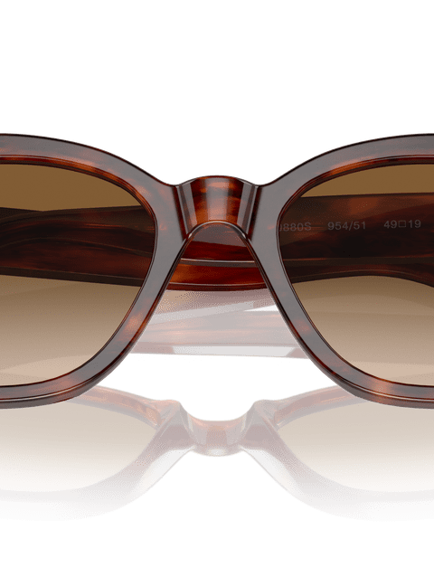 Ray-Ban Sunglasses Unisex Rb0880s - Striped Havana Frame Brown Lenses 52-19