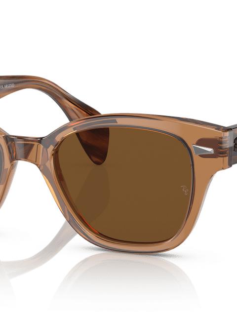 Ray-Ban Sunglasses Unisex Rb0880s - Striped Havana Frame Brown Lenses 52-19 Polarized