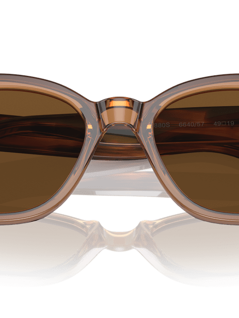 Ray-Ban Sunglasses Unisex Rb0880s - Striped Havana Frame Brown Lenses 52-19 Polarized