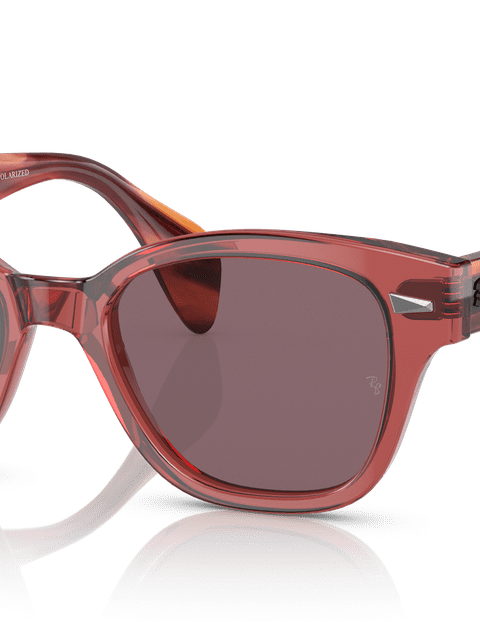 Ray-Ban Sunglasses Unisex Rb0880s - Striped Pink Havana Frame Violet Lenses 49-19 Polarized