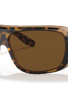 Blair B-15 Brown Solid Color Polished Havana On Transparent Brown