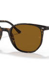 Ray-Ban Sunglasses Unisex Elliot - Havana Frame Brown Lenses 52-19