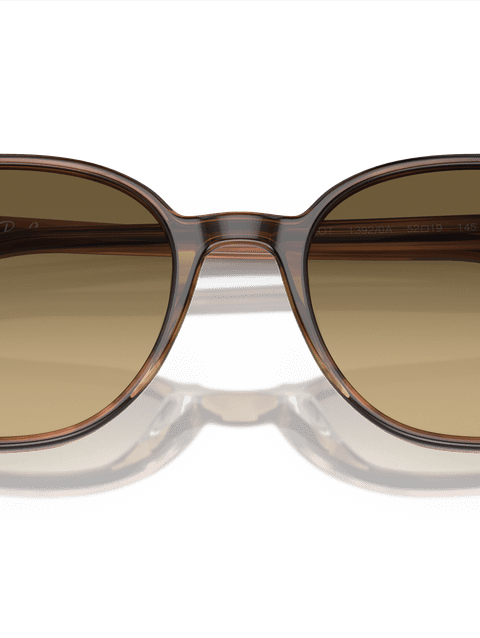 Ray-Ban Sunglasses Unisex Elliot - Striped Brown Frame Brown Lenses 54-19