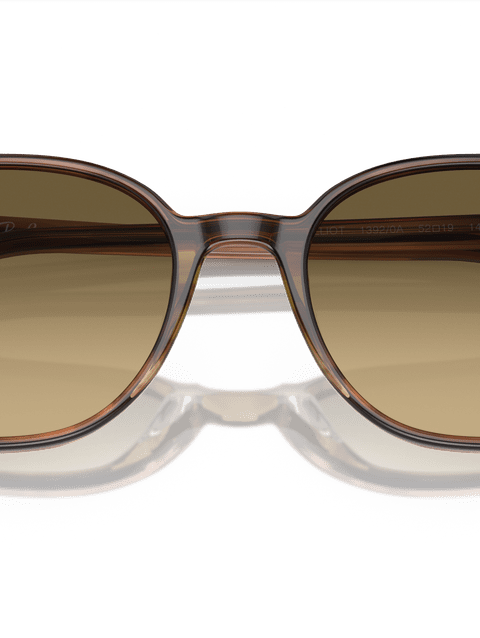 Ray-Ban Sunglasses Unisex Elliot - Striped Brown Frame Brown Lenses 54-19