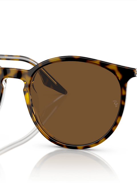 Ray-Ban Sunglasses Unisex Rb2204 - Havana On Transparent Frame Brown Lenses 54-18 Polarized