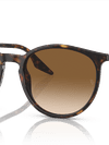 Ray-Ban Sunglasses Unisex Rb2204 - Havana Frame Brown Lenses 54-18