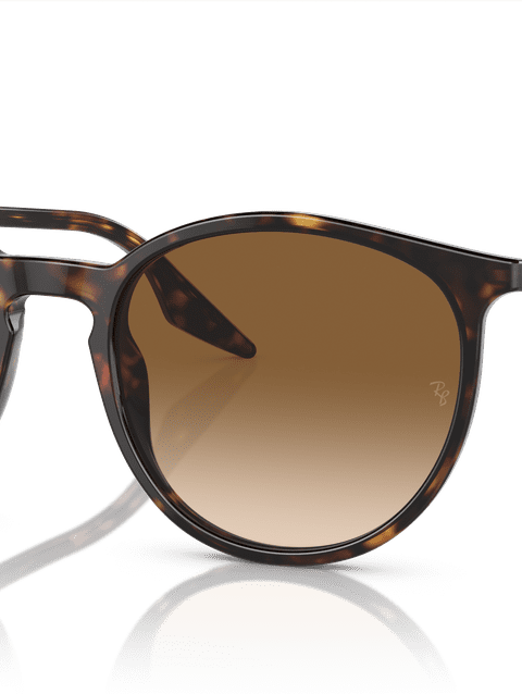 Ray-Ban Sunglasses Unisex Rb2204 - Havana Frame Brown Lenses 54-18