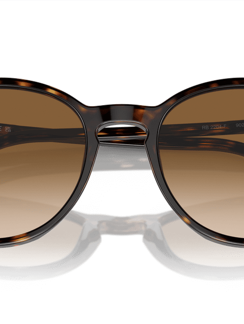 Ray-Ban Sunglasses Unisex Rb2204 - Havana Frame Brown Lenses 54-18