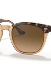 Ray-Ban Sunglasses Unisex Hawkeye - Havana On Brown Frame Brown Lenses 54-21 Polarized