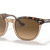 Ray-Ban Sunglasses Unisex Hawkeye - Havana On Transparent Brown Frame Brown Lenses 50-21 Polarized