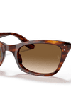 Lady Burbank Clear/Brown Gradient Polished Striped Havana